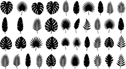 Tropical leaves silhouettes vector set featuring monstera palm banana and fern leaf shapes © Peru