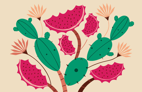 Prickly pear opuntia cactus with green pads, pink fruits and desert flowers, colorful hand drawn botanical illustration on beige background
