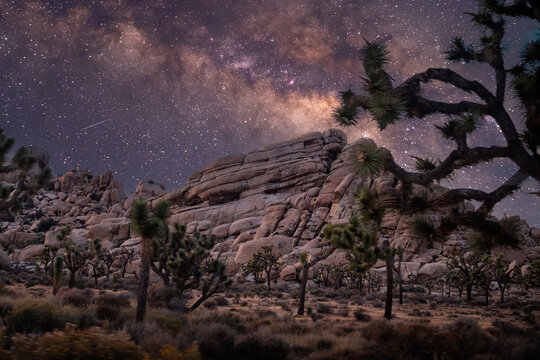 Milky way and stars over Joshua Tree desert 