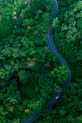 Fototapeta premium Aerial forest road with car creating abstract background for electric vehicle, ESG, sustainability and green investment business concepts.