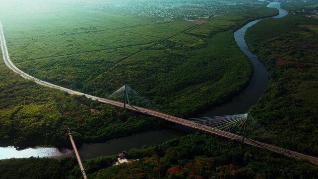 Aerial view of Puente Mauricio Baez cable-stayed bridge spanning the Higuamo River surrounded by lush tropical vegetation, San Pedro de Macoris, San Pedro de Macoris, Dominican Republic.