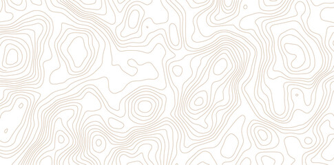 Abstract topographic map contour lines pattern background texture in minimalist white and beige with geographic lines elevation map cartography design © MD