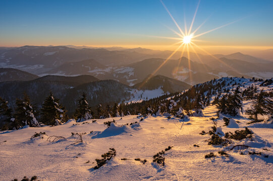 View of Velky Choc peak during a golden sunset with snow-covered slopes, coniferous trees, and a clear sky in the Chocske Vrchy mountains, Zilina Region, Slovakia.