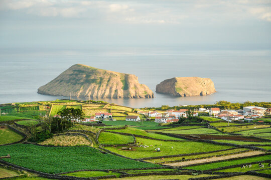 Scenic landscape of lush green patchwork fields with basalt stone walls overlooking a coastal village and the iconic twin volcanic islets of Ilheus das Cabras in Terceira Island, Azores, Portugal
