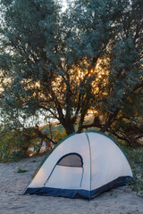 A tent on a sandy beach near a tree. Weekend camping. © Vladislav