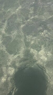 Close-up of crystal-clear shallow water in Montecristi, Dominican Republic, revealing a rocky seabed beneath sunlit caustic patterns. The natural texture and gentle ripples create a calming, abstract 