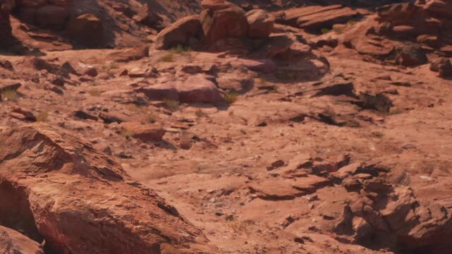 The scene shows dry terrain with red rocks and scattered dirt. Bright sunlight highlights the rocky ground. This setting is found in a desert area during daytime.