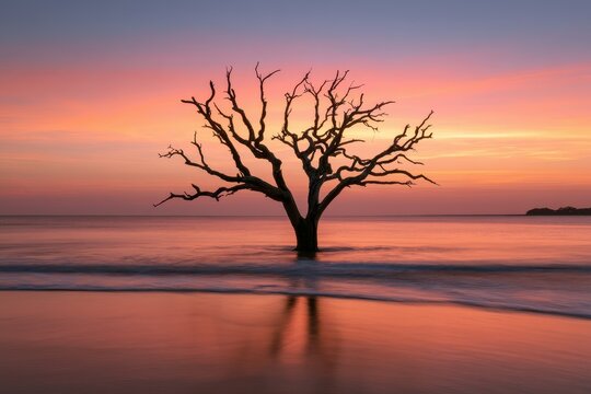 Silhouette of a lone tree against a dramatic sunset over a tranquil seascape