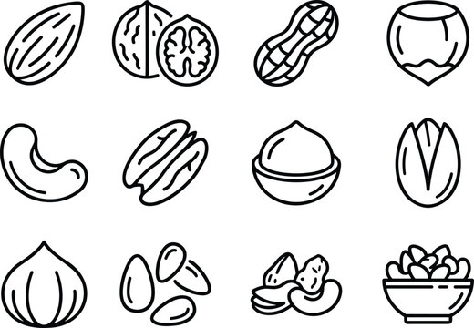 Nuts seeds food icons set almond walnut peanut hazelnut cashew pecan macadamia pistachio line art vector illustration.