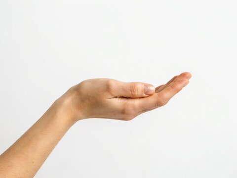 Open hand palm up gesture isolated on white background