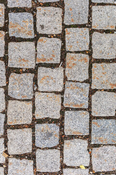 Close-up of old grey cobblestones with earthy gaps, creating a rustic textured background.