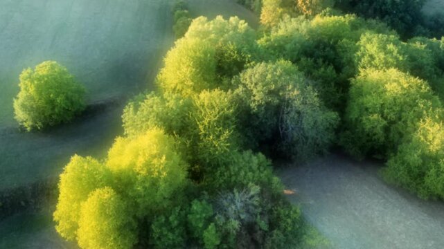 Drohne fliegt &uuml;ber gr&uuml;ne Bauminseln mit Laubb&auml;umen, Videoeffekt, Weichzeichner, Luftaufnahme