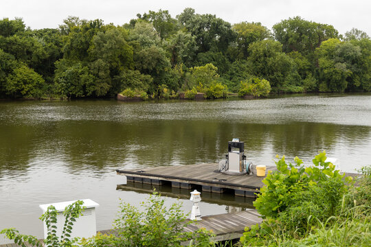 View of a wooden floating dock on a river surrounded by lush green trees in Henrico, Virginia, United States.