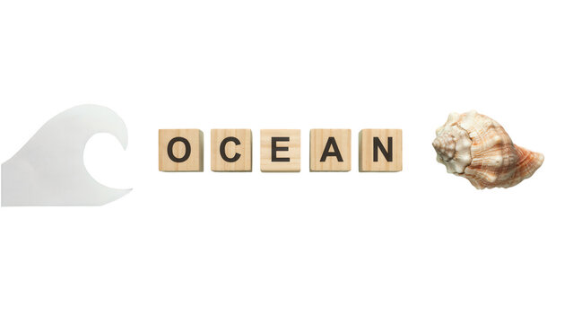 Ocean theme typography design. Sea wave vector, spelled with wooden alphabet blocks, and natural seashell. White background. Text, symbols, and marine concept lettering for banners.