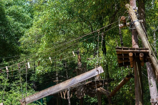View of an adventure park with wooden platforms, rope bridges, and obstacles suspended among lush green trees in Cascais, Lisbon, Portugal.