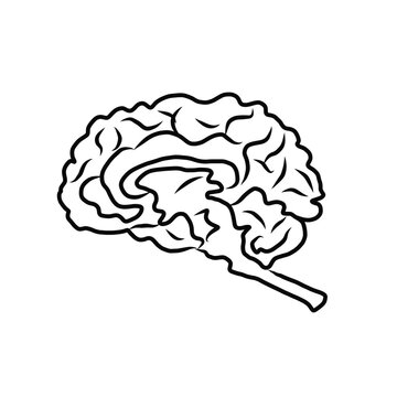 Brain of a dog doodle hand drawn illustration3