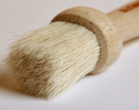 Natural Bristle Brush Close-Up