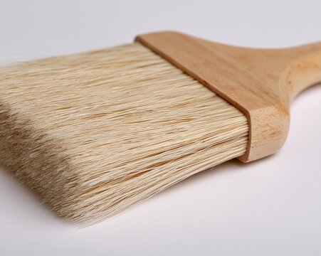 Natural Bristle Brush Close-Up