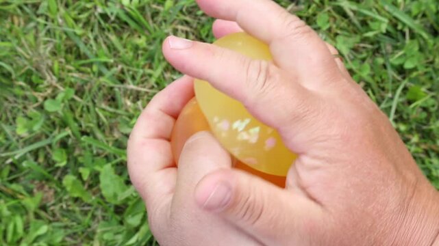 Hands squeeze yellow and orange water-filled flexi slimes on green grass, shaping them into changing shapes as the balloons stretch, bulge and fold evenly throughout the outdoor clip.