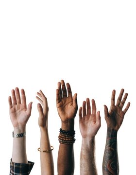 Diverse hands raised against a white background