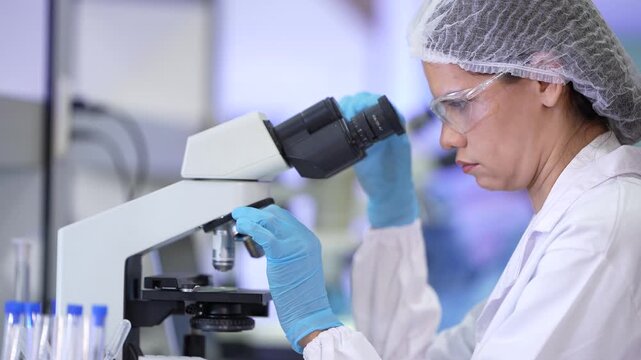A female science professional in a white coat, protective eyewear and a sterile hairnet leaning into the eyepieces, adjusting the focus knob, then straightening up again inside a university.