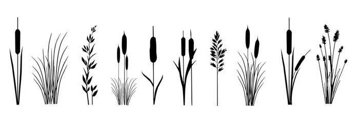 Fototapeta premium Black cattail and reed silhouettes with tall marsh grass plants for wetland and riverside landscape design.
