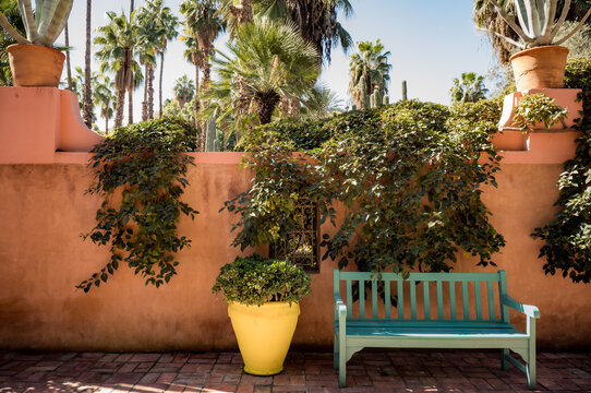 Plants and architecture on the streets of Marrakesh, Morocco.