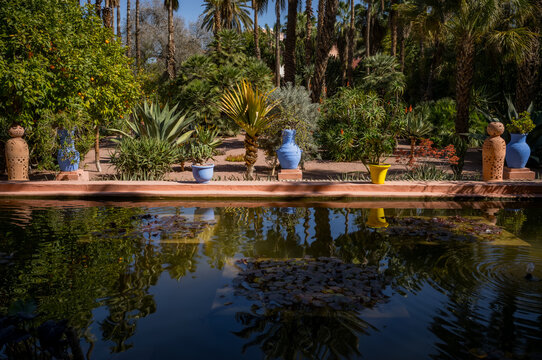 Plants and architecture on the streets of Marrakesh, Morocco.