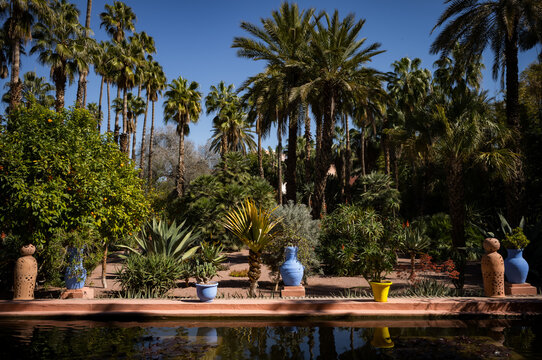 Plants and architecture on the streets of Marrakesh, Morocco.