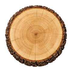 Fototapeta premium PNG Natural tree trunk cross-section