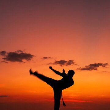 Silhouette of a capoeira fighter performing a high kick