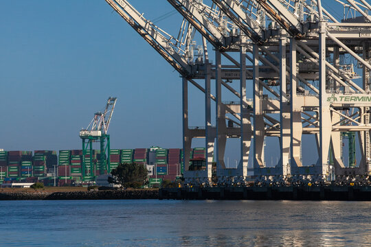 Tall white port cranes standing over rows of green and purple containers beside calm bay water during ongoing cargo handling