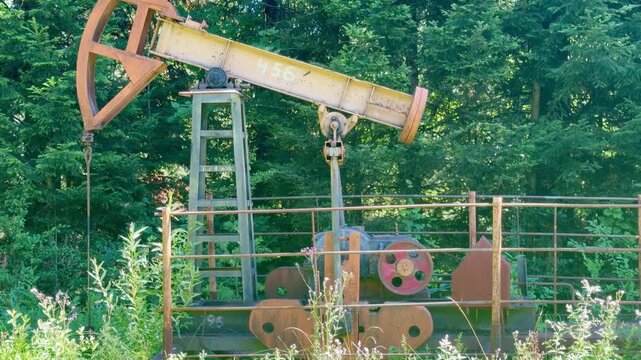 Vintage oil pumpjack operating in a green forest