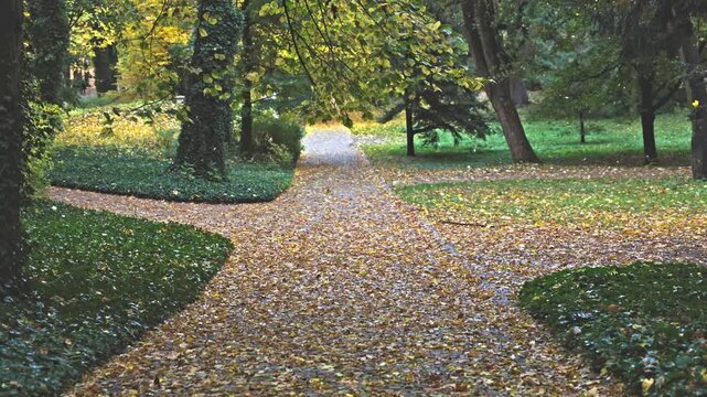 Autumn leaves falling in slow motion on a path in Lazienki Park, Warsaw.