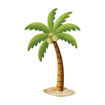 Watercolor Coconut Tree Illustration Isolated on White Background. Perfect for summer, beach, tropical, travel, and vacation designs.