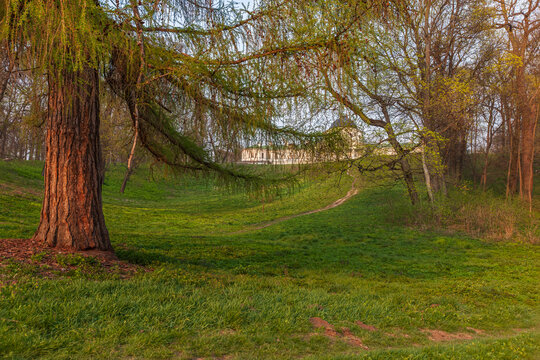 Beautiful scenic view of an old antique palace mansion on a hill behind a big tree in spring park