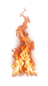 Realistic Burning Fire Flame Isolated on White Background