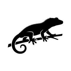 Fototapeta premium Lizard silhouette climbing branch vector illustration, Lizard climbing branch silhouette