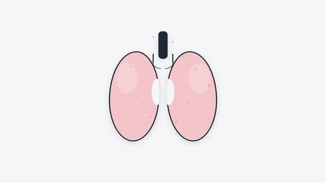 Thyroid gland anatomy medical illustration
