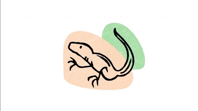 An animated hand-drawn pet lizard gecko crawling gently. Ideal for exotic reptile pet stores, terrarium pets, herpetology guides, wildlife species, and cold-blooded animals. 