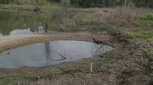 Footage of a small water reservoir surrounded by deteriorating bushland at the Yarramundi Reserve in the Hawkesbury region in New South Wales, Australia