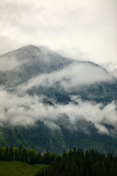 View of mountain slopes partially obscured by thick low-hanging clouds and mist above a dense evergreen forest in Bled, Radovljica, Slovenia.