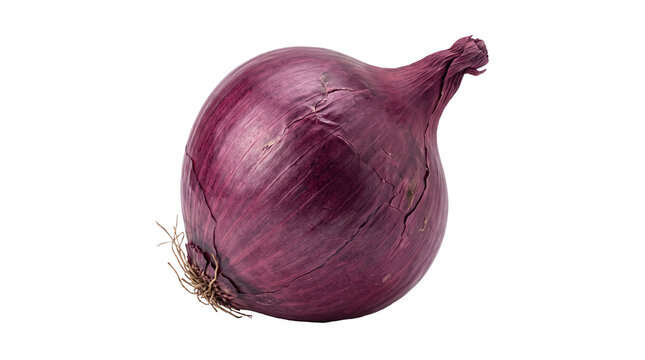 Fresh whole red onion with papery purple skin isolated on transparent background closeup.