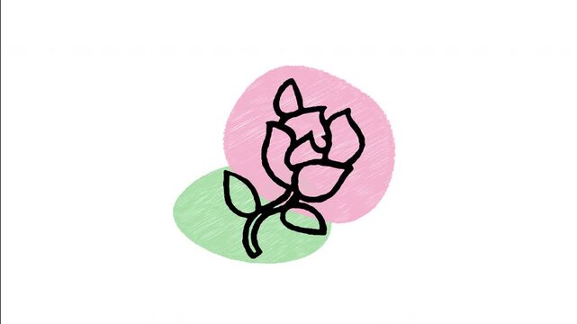 An animated hand-drawn blooming rose flower with a green stem and leaf. Perfect for Valentine's Day roses, romantic gifts, floral decorations, wedding botanicals, and love flowers. 