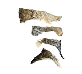 Fish Skin Pieces with Scales Isolated on Transparent Background © PRAPS