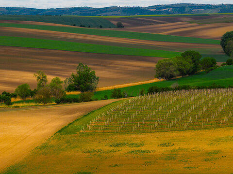 Aerial view of rolling agricultural fields and vineyards with patches of green and brown earth, trees, and hilly landscape in Cejkovice, South Moravian Region, Czechia.