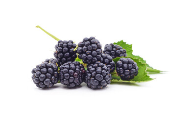 Fresh ripe blackberries with green leaves on a white background. © ANASTASIIA