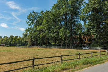 Fototapeta premium Rural farm estate with wooden fence and green oak trees under blue sky 