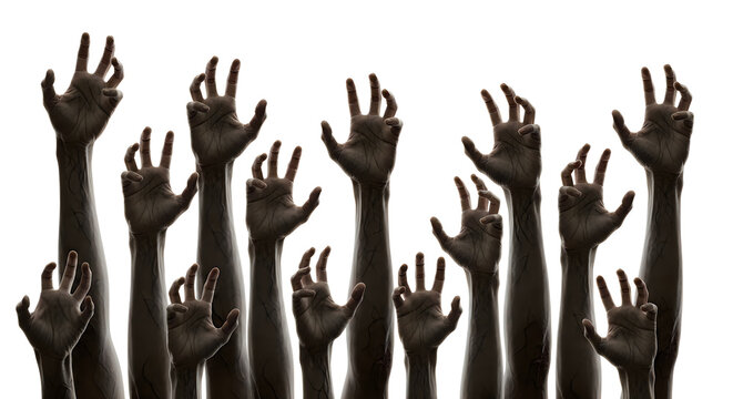 A group of scary zombie hands reaching up isolated on white background for a happy halloween october 31 celebration