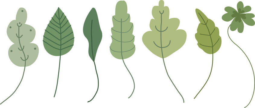 Cartoon floral set of green leaves, branches, twigs, wild meadow flowers. Botanical greenery herbarium. Isolated clip art.